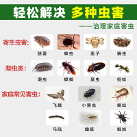 坤宁王 杀虫喷射剂蟑螂药跳蚤药灭蟑螂螨虫灭蚊药水750ml