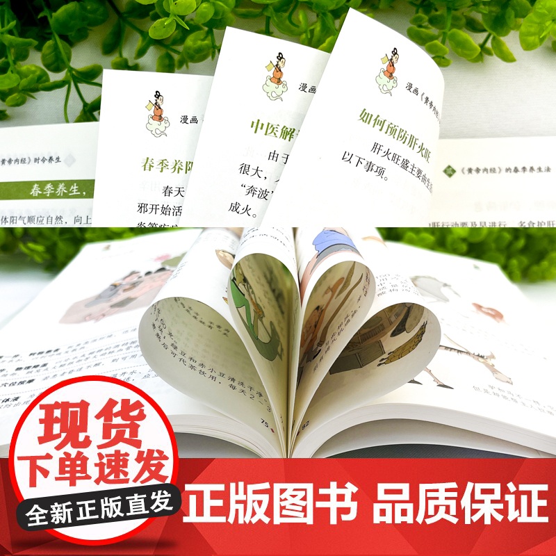 漫画黄帝内经 正版书籍书籍时令养生智慧中医文化启蒙趣味图解养生四季养生全书中医养生书籍食补食疗大全入门八大名著之一看就懂高清大图