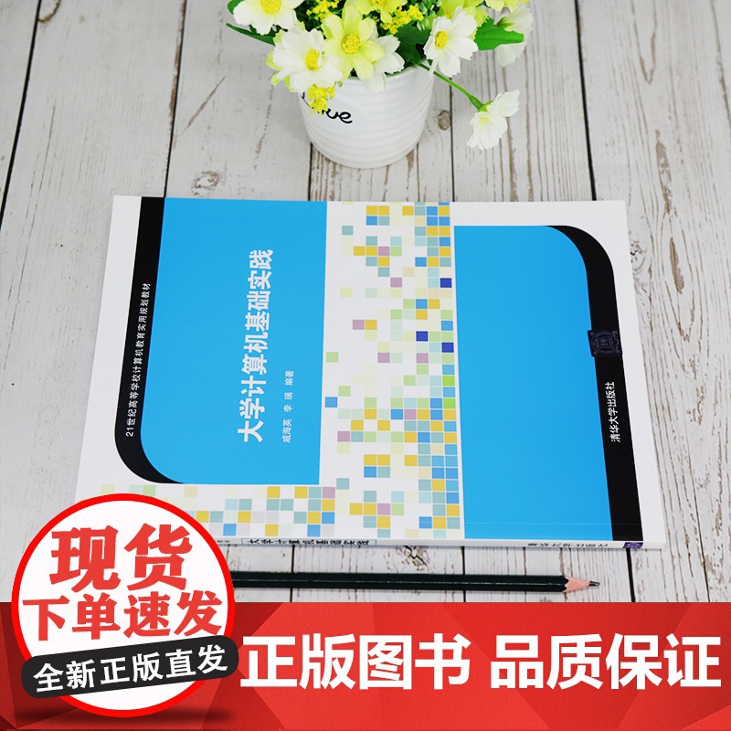 [正版]大学计算机基础实践 清华大学出版社 戚海英 计算机科学与技术计算机基础信息技术高清大图