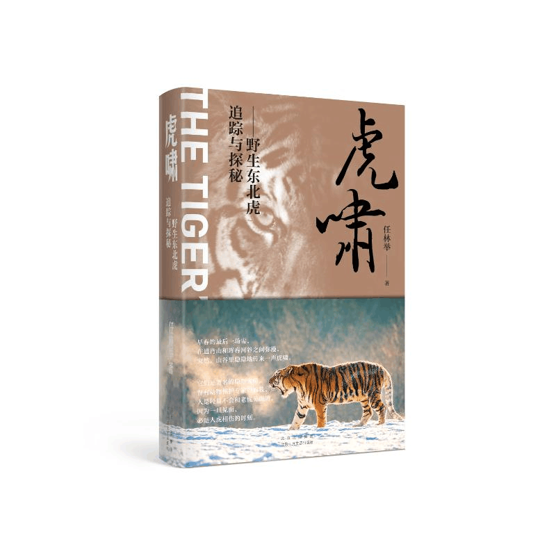 正版新书]虎啸——野生东北虎追踪与探秘任林举9787530220979图片