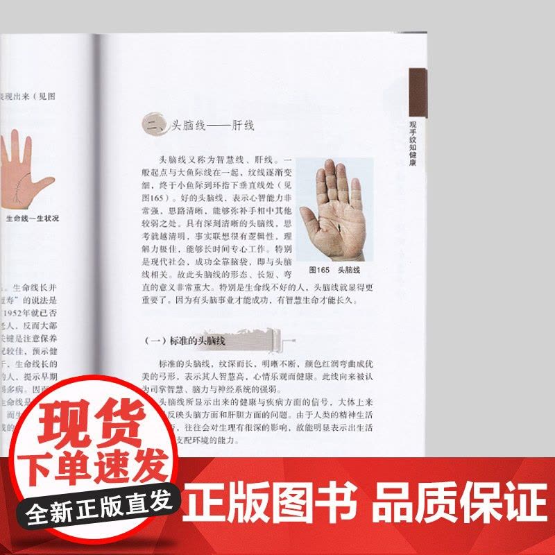 观手知健康 经络全息手诊 第二版 蔡洪光 中医面诊养生保健 中医按摩经络穴位 人体经络穴位书籍手部穴位按压图片