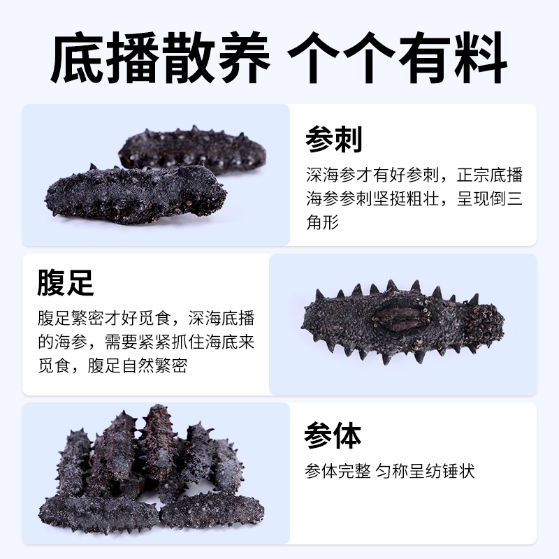 星龙港大连干海参-福寿双全80g灰色高清大图