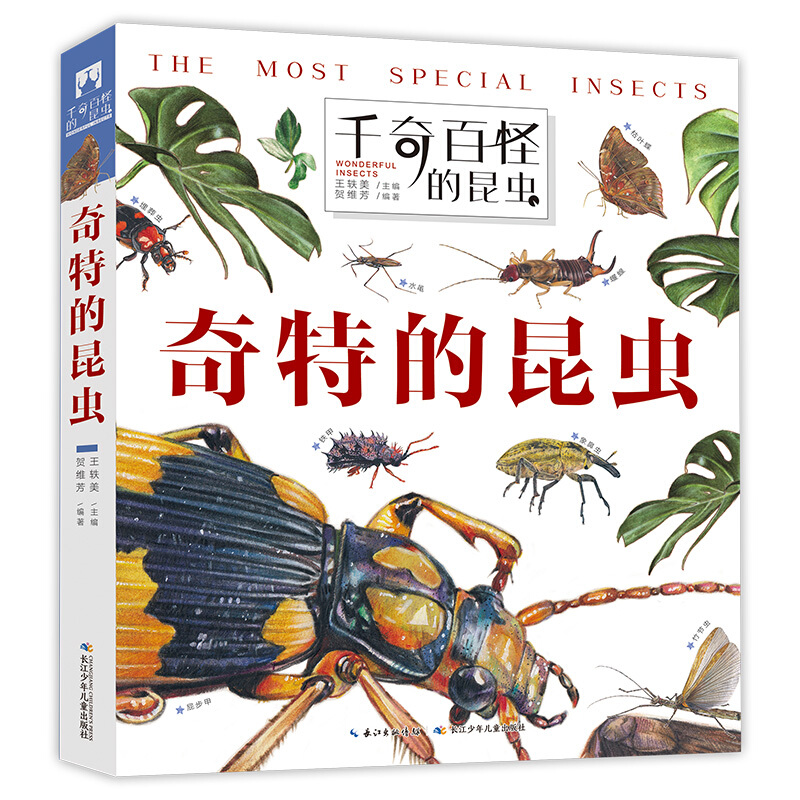 [醉染正版]精装硬壳 千奇百怪的奇特昆虫 孩子爱不释手的昆虫翻翻书 走进昆虫王国 翻阅生命奥秘 神奇植物立体书 儿童3d高清大图