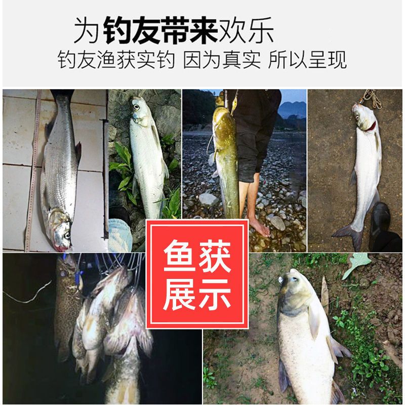 经典水蛭路亚亮片饵金属双曲铁板路亚假饵鳜鱼黑鱼翘嘴鲈鱼通sha 2.5g 4个金色