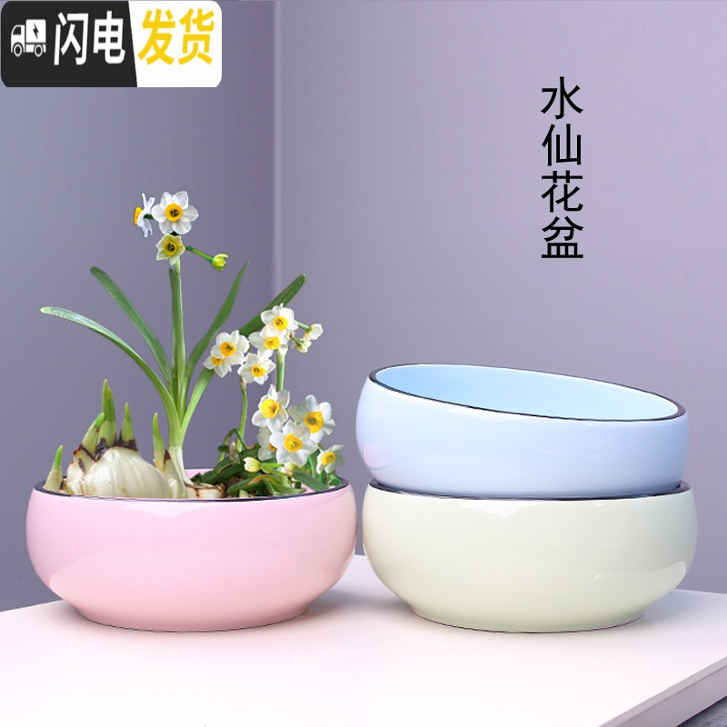 三维工匠大号铜钱水培花盆陶瓷金钱简约水养一叶莲碗莲水仙花 水培(梅兰竹菊)四个中号 大花盆容器