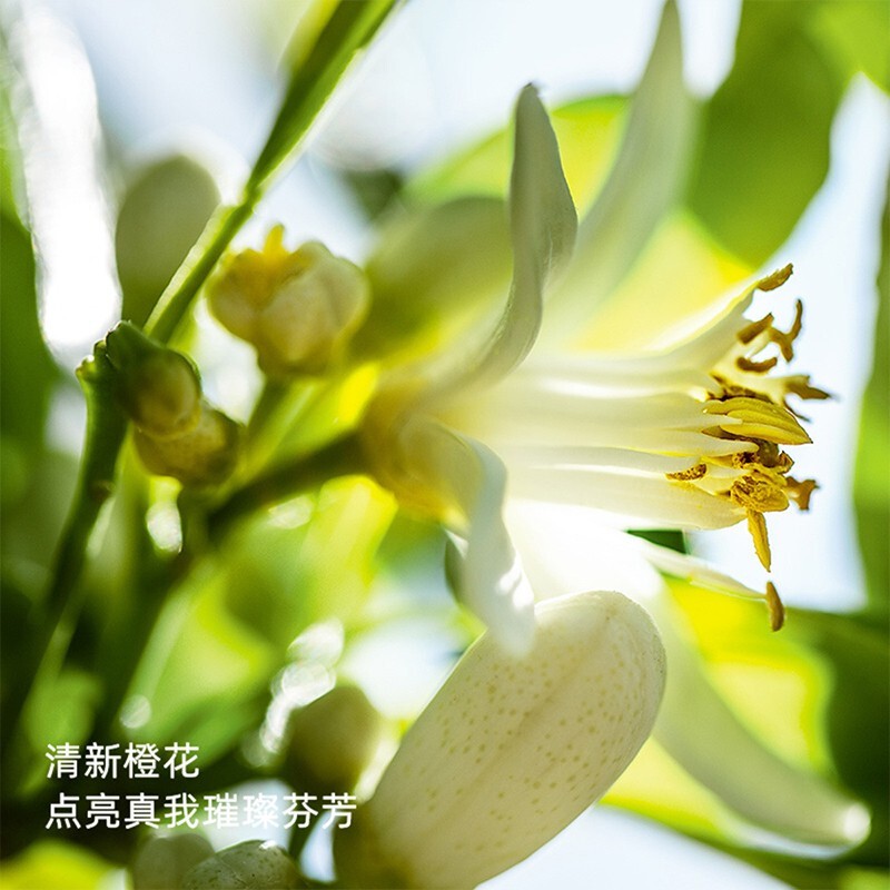 迪奥(Dior)真我淡香氛50ml女士香水 清新淡香水 花香调 送女友高清大图