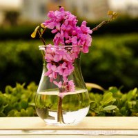 简约透明花瓶 水培花插 手工吹制家居摆件 一件代HP22