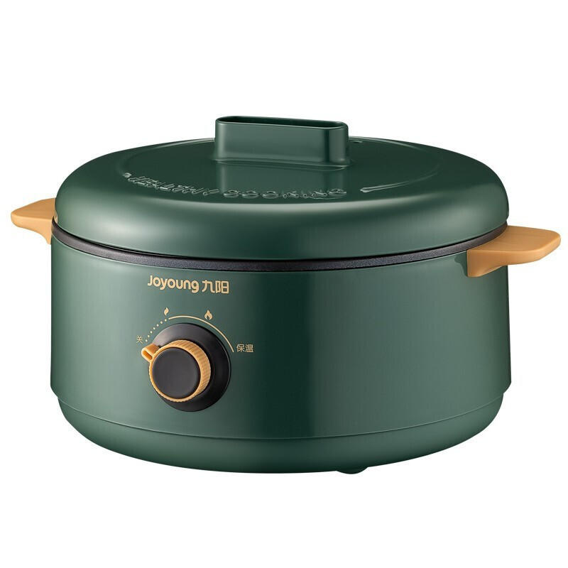九阳joyoung电火锅家用多功能电煮锅电炖锅插电迷你电热锅dg20ggd161