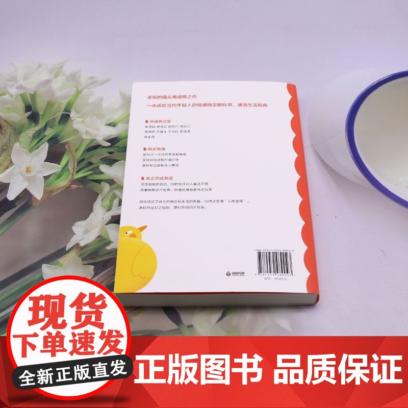 [正版]每天演好一个情绪稳定的成年人 老杨的猫头鹰 江苏凤凰文艺出版社 9787559489043