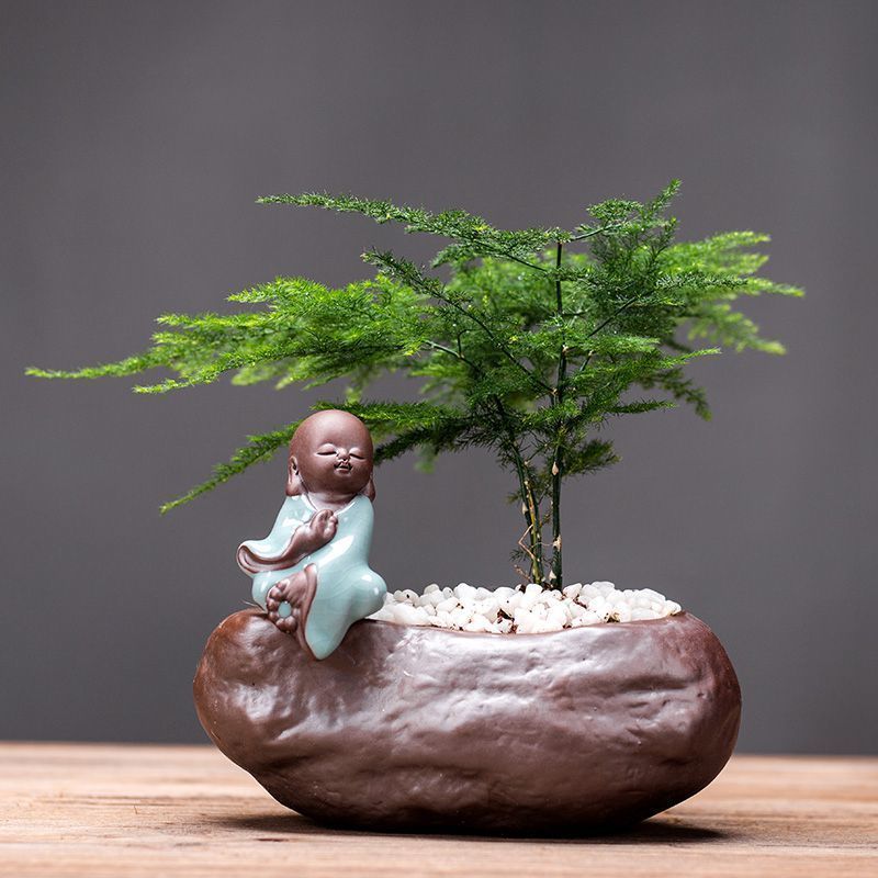 新品创意摆件迷你玻璃透明水培绿萝客厅茶几家居陶瓷桌面花瓶|哥窑花器【水芝】-如来【送文竹】
