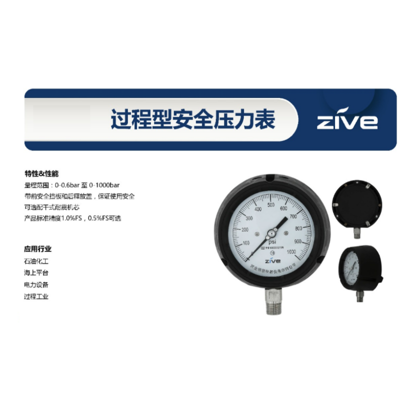 ZIVE 安全压力表ZIVE-1306464高清大图