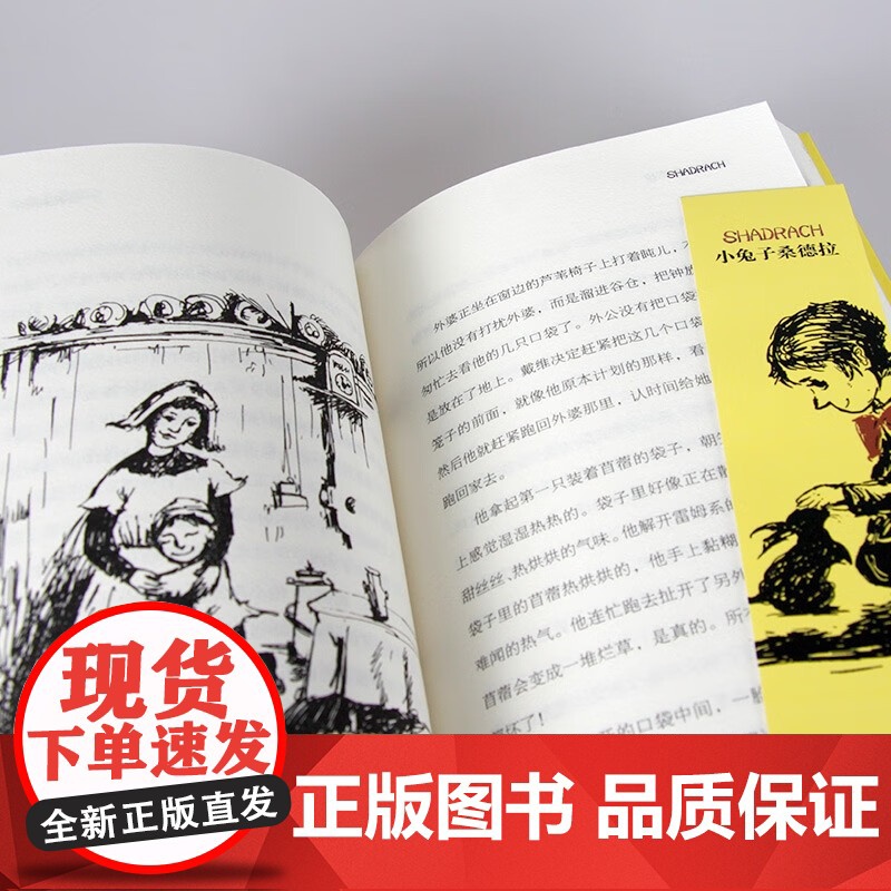 正版 小兔子桑德拉 长青藤国际大奖小说 7-9-10-12-14外国儿童文学动物小说童话故事书成长教育二三四五六年级小学高清大图