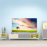 飞利浦（PHILIPS）65PUF7313/T3 65英寸 4K超高清HDR 人工智能语音舒适蓝护眼抗蓝光蓝牙平板电视机