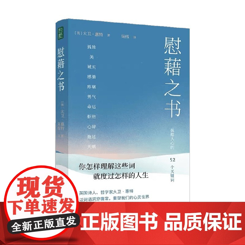 慰藉之书 大卫·惠特 著 励志高清大图