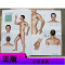 男性经络穴位高清标准图册人体穴位图解大全书 中医养生取穴找穴位图经络穴位按摩大全书人体经络全身十二经络书 中医养生书