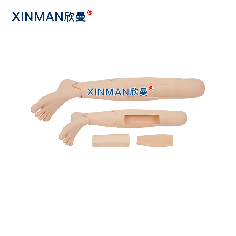 欣曼科教 战创伤急救技术综合训练模拟人XM-ACLS8000C高清大图