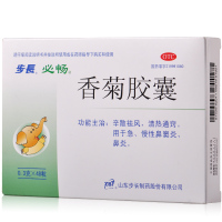 步长 香菊胶囊0.3g*48粒/盒 清热通窍急慢性鼻炎鼻窦炎