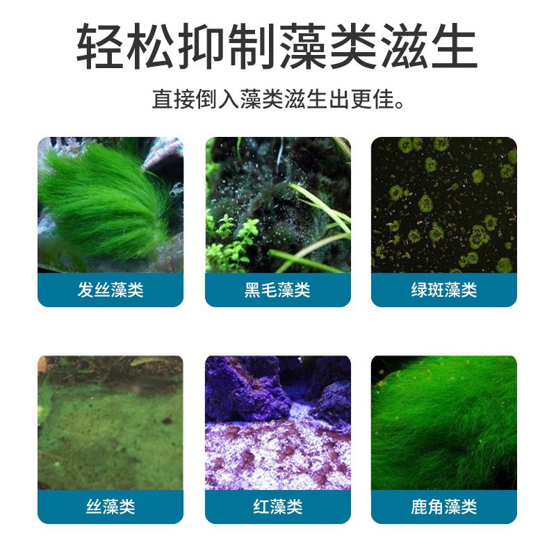 鱼缸除藻剂除青苔不伤鱼去苔剂除绿褐藻丝藻黑毛去藻除绿水除苔素高清大图