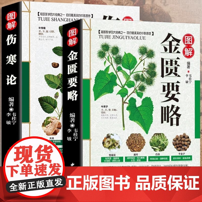 正版 伤寒论 张仲景正版+金匮要略 共两本中医临床丛书伤寒论杂病论中医四大经典名著自学入门古籍医学书中医基础理论知识高清大图