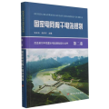 国家电网骨干电站规划(精)/厄瓜多尔辛克雷水电站规划设计丛书