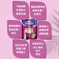 多乐士(Dulux) 抗甲醛全效内墙乳胶漆 墙面漆油漆涂料 A999+A748 套装15L