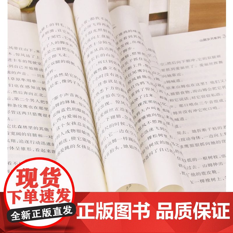正版童书 山居岁月系列 惊风的山 乔治是一位热爱自然以写作自然故事为主的美国儿童文学作家 新蕾出版社 克雷赫德高清大图