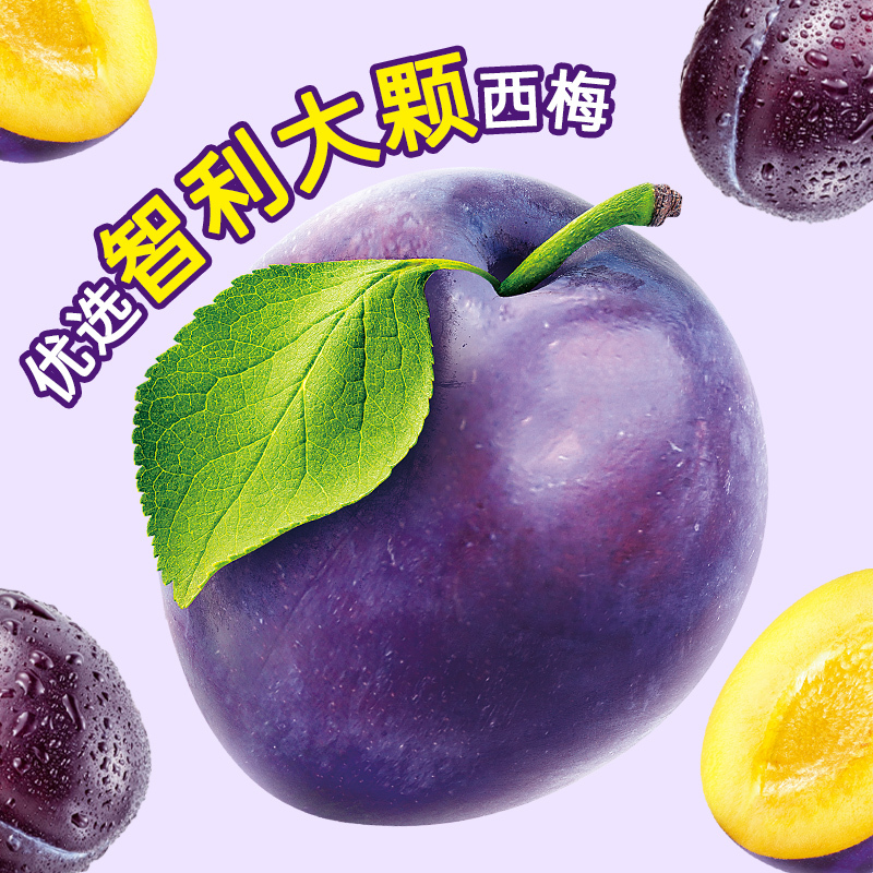 含羞草加州无核大西梅600g 无糖无添加小包装 膳食纤维