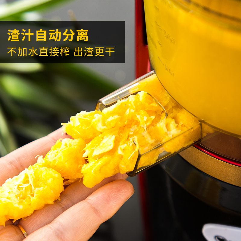 家用渣汁分离水果全自动小型果蔬果肉多功能炸原榨汁机