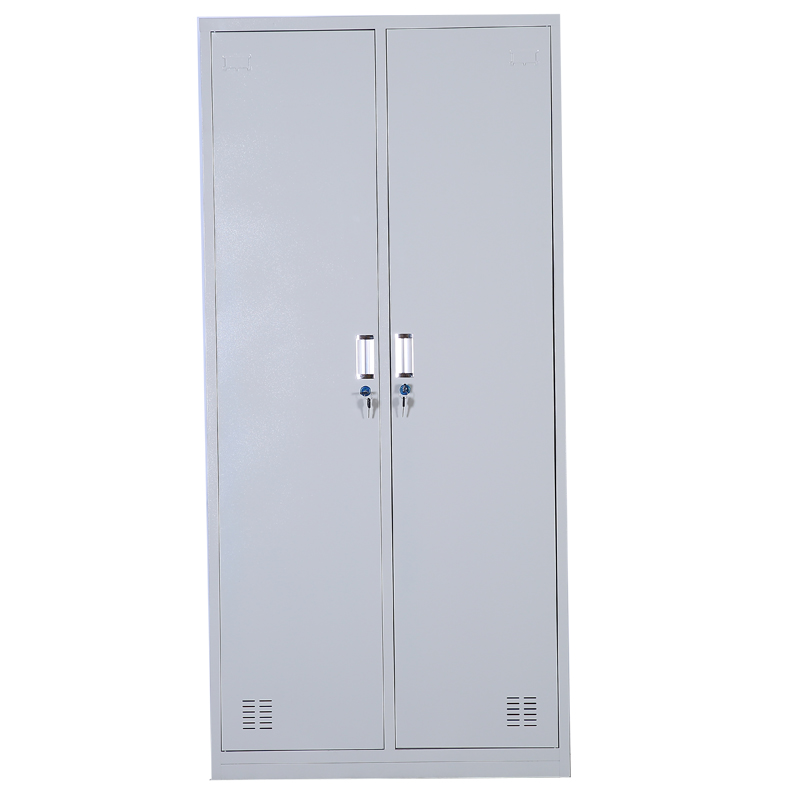 东业家具 办公文件柜二门钢制更衣柜 铁皮柜DY-01G (850*420*1800)个高清大图
