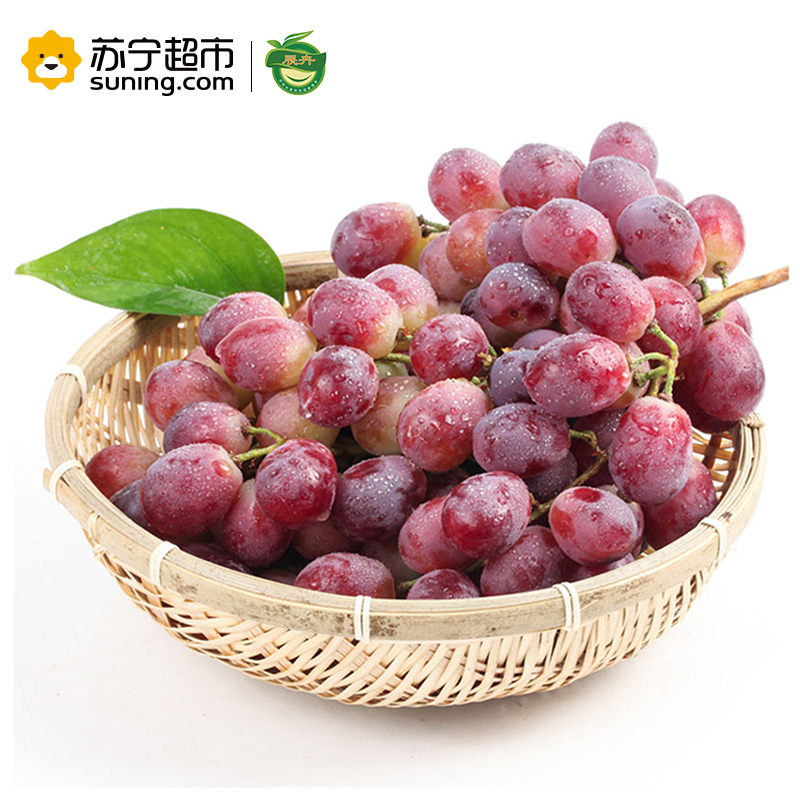 展卉 智利红提 提子 进口葡萄 1kg装 新鲜水果