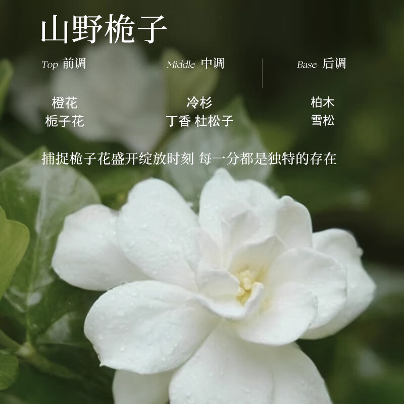 尹谜时令香包-绿色,山野栀子15g高清大图