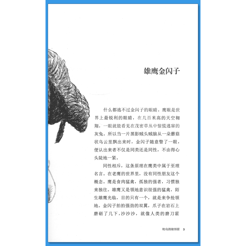 巨蜥母亲 [正版]和乌鸦做邻居沈石溪小学四年级五年级全集全套书浙江少年儿童出版社非注音版完整版动物小说大王品藏书系课外阅