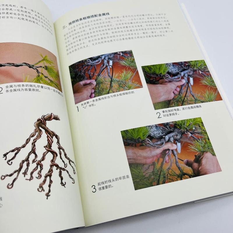 [醉染正版]图解五针松盆景制作技艺 刘立华 著 养花书籍高清大图