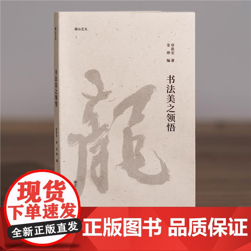 书法美之领悟 湖山艺丛 书法家章祖安谈论书法审美及相关理论问题专集图文并茂语言朴实可读性指导性俱佳领悟书法之美提升书法水高清大图