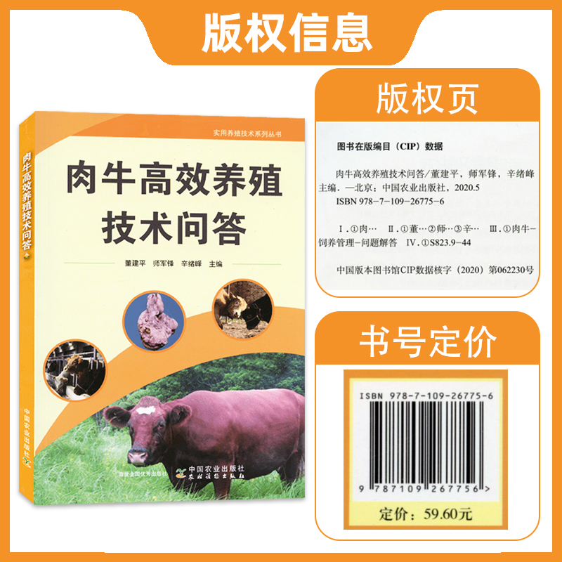 [醉染正版]肉牛高效养殖技术问答 肉牛养殖书籍 肉牛养殖 牛场环境建设饲草饲料开发牛杂交繁殖牛饲养管理牛场安全牛疾病防治高清大图