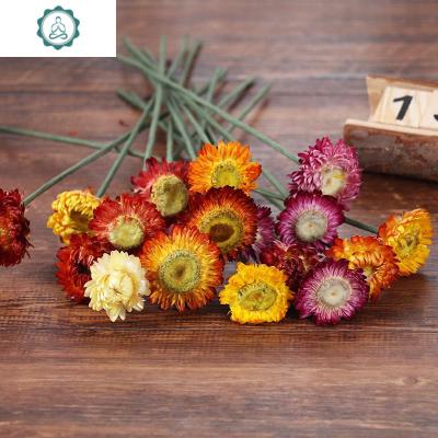 雏菊风干花花束真花家居摆设小清新房间饰品树枝花瓶摆件客厅插花 封后 五彩小雏菊66枝不含瓶子 干树枝
