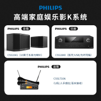 飞利浦(PHILIPS)家庭ktv音响套装家庭影院点歌机一体机音箱功放全套卡拉ok包厢k歌家用套装10英寸经典版音响套装