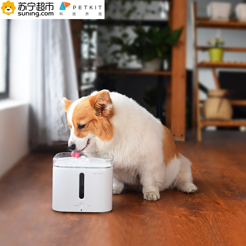 小佩PETKIT宠物猫智能自动饮水机白色