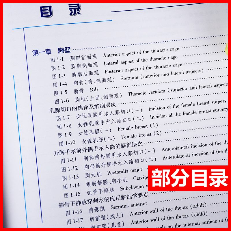 [醉染正版]正版 胸部临床解剖实物图谱 第2版 张炎 金海 主编 临床解剖学实物图谱丛书 基础医学 2017年10月高清大图
