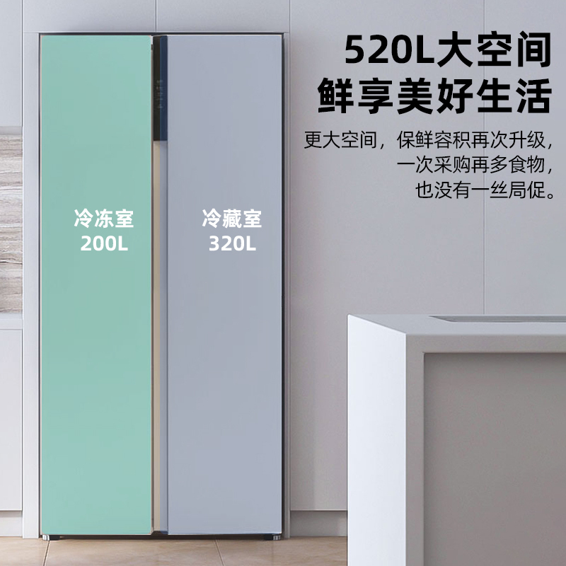 扎努西·伊莱克斯/ZANUSSI ZSE5201LPA 大容量520L对开门冰箱 一级变频 风冷无霜 经典设计