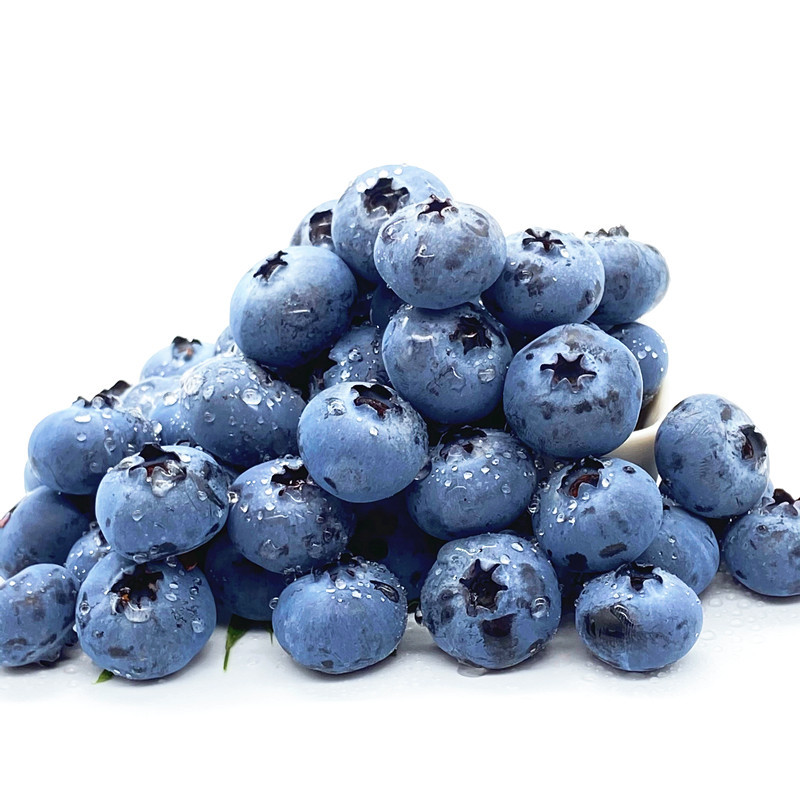 顺丰配送西沛生鲜云南蓝莓125g4盒当季新鲜孕妇水果脆甜蓝梅甜浆果