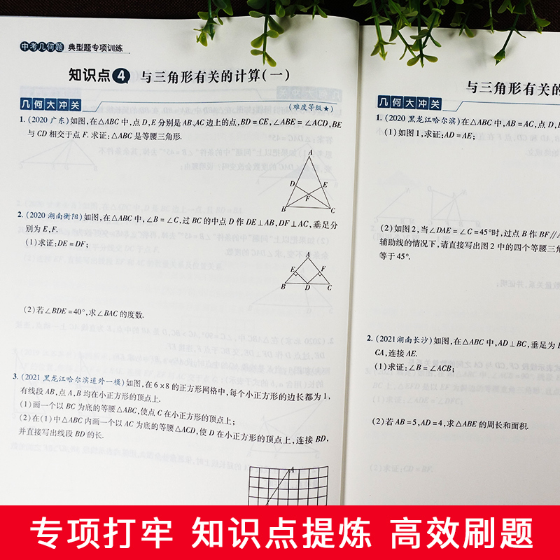[计算]典型题专项训练 九年级/初中三年级 [正版]新版 初中数学中考版代数高效训练计算专题冲关几何典型题专项训练发散思
