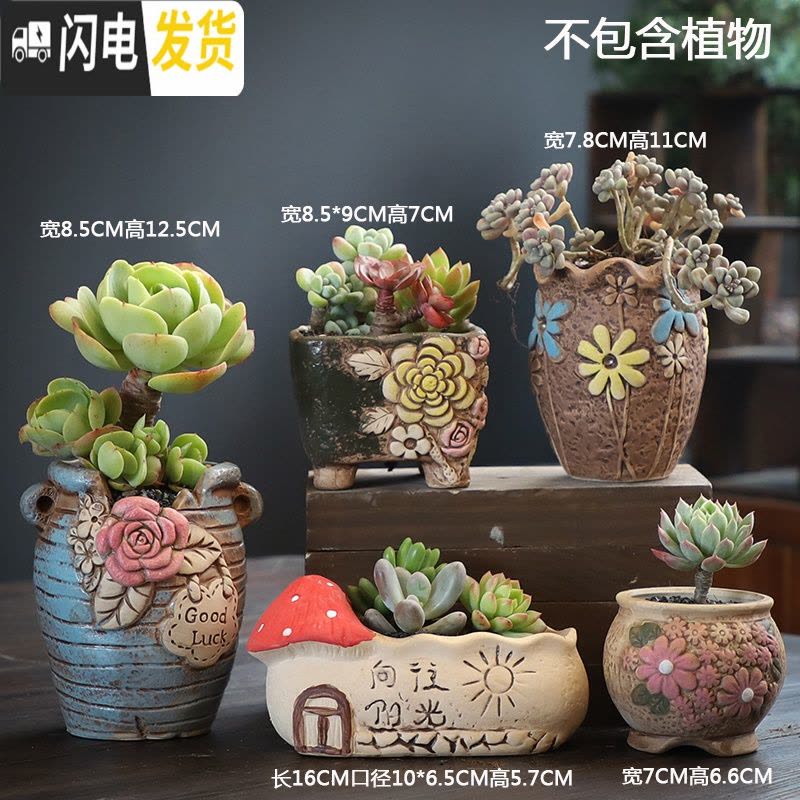 三维工匠多肉花盆陶瓷粗陶透气家用肉肉植物创意大口径创意小花盆 孔雀釉花盆6个 小花盆容器图片