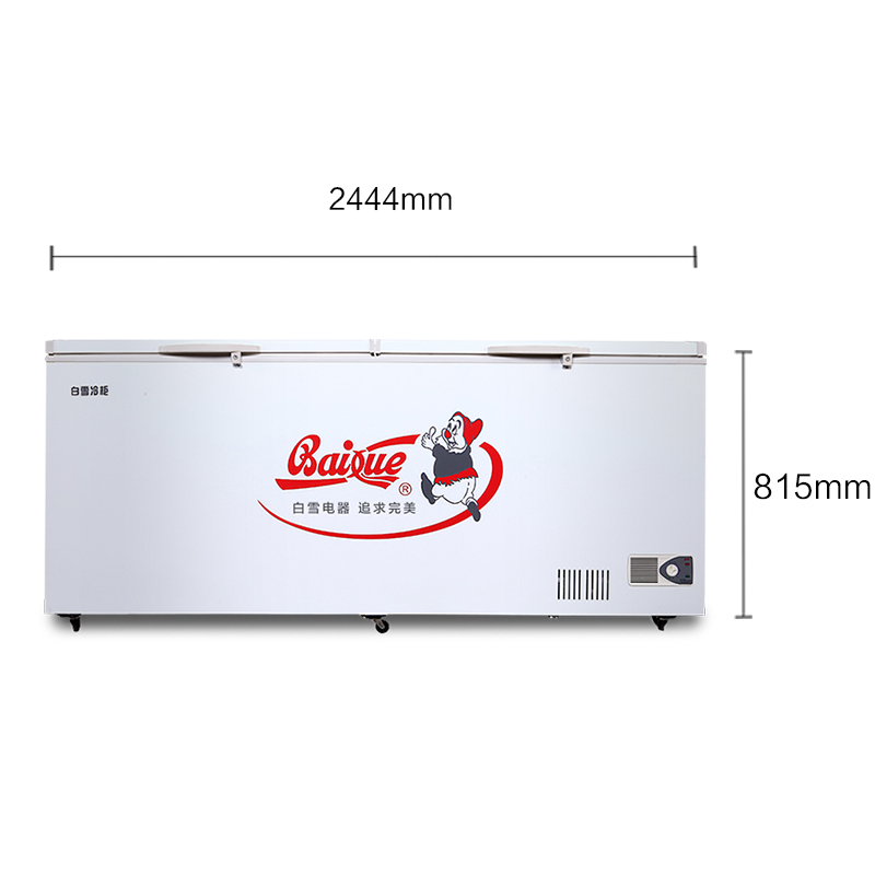 白雪(Baixue)830升BD/C-830FDS大型商用冷柜 大冰柜 茶叶柜 海鲜柜
