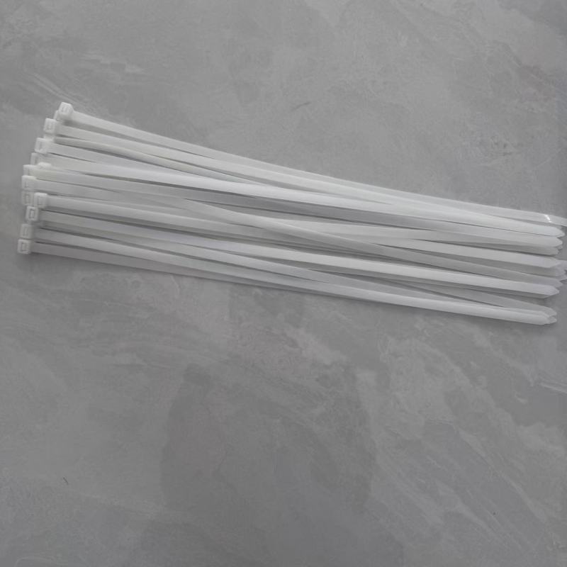 顺心捷 尼龙扎带 10×500mm 100根/包高清大图