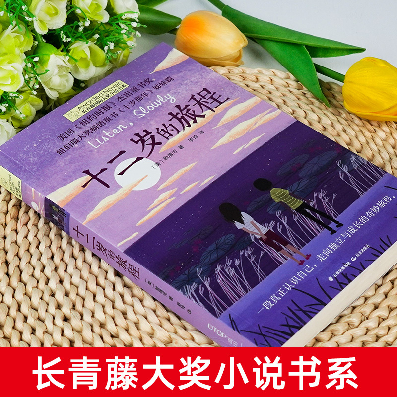 作文里的奇案 [正版]十二岁的旅程 长青藤大奖小说书系列 儿童文学 课外阅读 8-10-12岁小学生初中4567四五六七