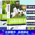 【正版】2册养殖技术书肉兔标准化生产技术高效养兔技术科学饲养管理农业畜牧实用手册兔病防治鉴别诊断图谱治疗全书动农病准