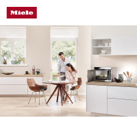 Miele/美诺 电蒸炉 DG 6019 C 全触屏智能 台式立式 高端进口家用蒸箱 电烤箱 原装进口