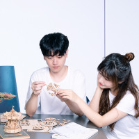若态若来创意桌面摆件 diy立体木质拼插拼图造物集儿童益智男孩女孩手工制作拼装模型玩具 TG501挚·爱-埃菲尔铁塔