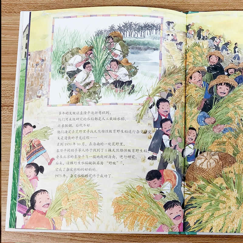 [正版]精装硬壳一粒种子改变世界袁隆平的故事共和国脊梁科学家绘本名人传记儿童文学故事一二年级中小学生课外拓展阅读书籍幼
